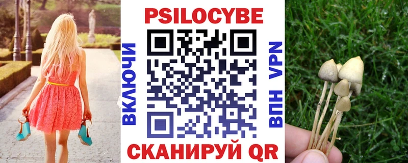 хочу наркоту  Щёлково  блэк спрут вход  Псилоцибиновые грибы мухоморы 